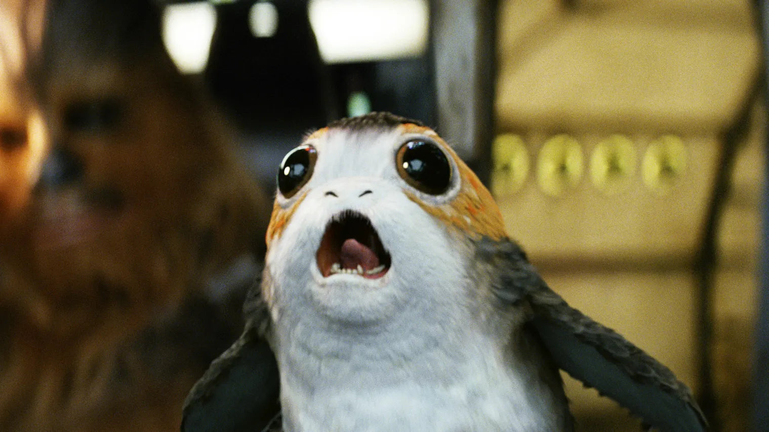 Star Wars Creatures: 5 Iconic Beasts and What They Symbolize